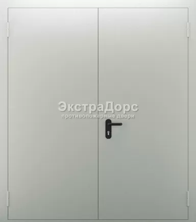 Металлическая противопожарная дверь ДМП-01-60 двупольная серая с замком