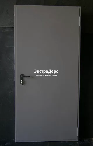 Дверь металлическая противопожарная EI 60 ДПМ 2 типа серая