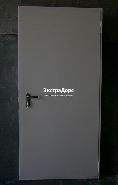 Дверь металлическая противопожарная EI 60 ДПМ 2 типа серая в Ступино  купить